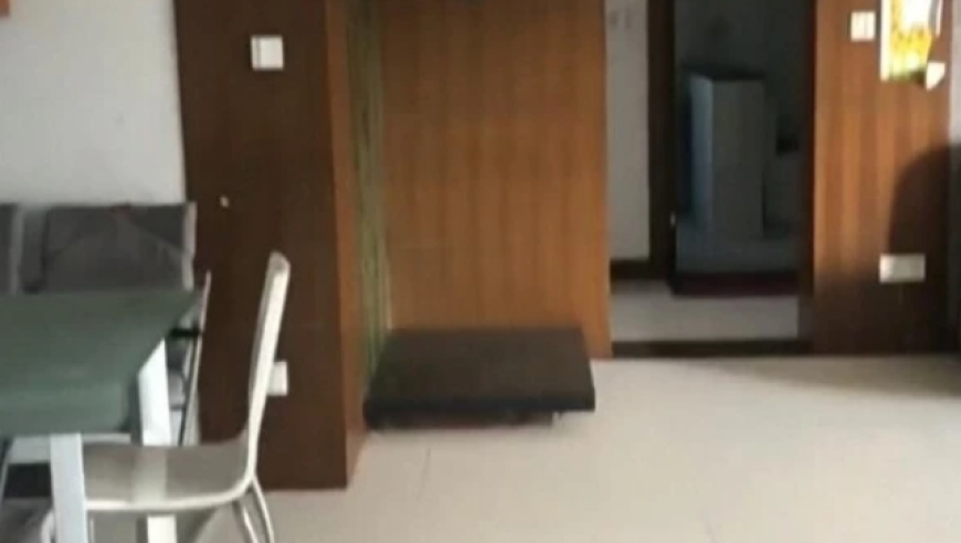 穆婷婷说乔振宇专业上差劲,香港摇钱树网站网址,公开决策资料解释落实_轻量版V7.9